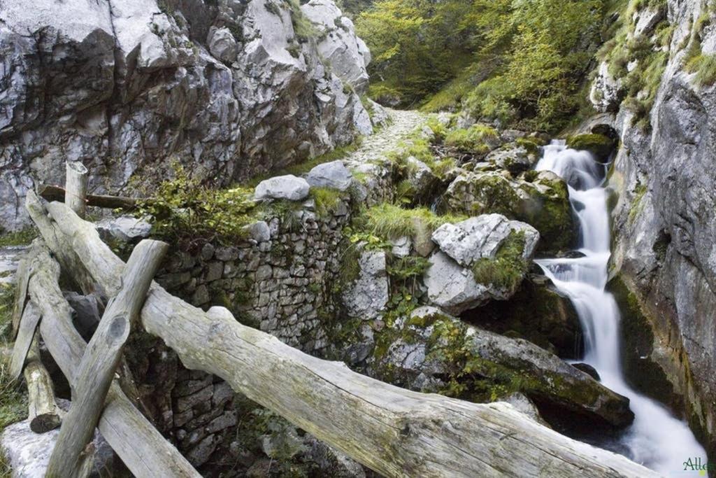 Los Molinos - Atico En Montana De Asturias 펠레초사 외부 사진