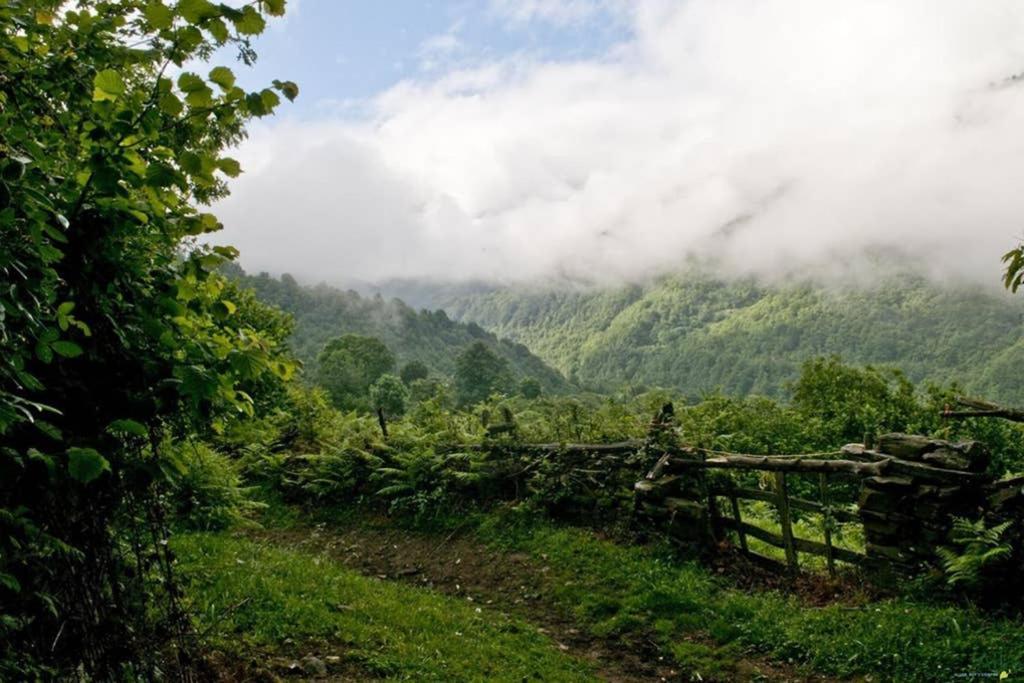Los Molinos - Atico En Montana De Asturias 펠레초사 외부 사진