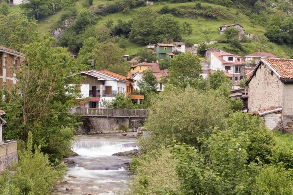 Los Molinos - Atico En Montana De Asturias 펠레초사 외부 사진