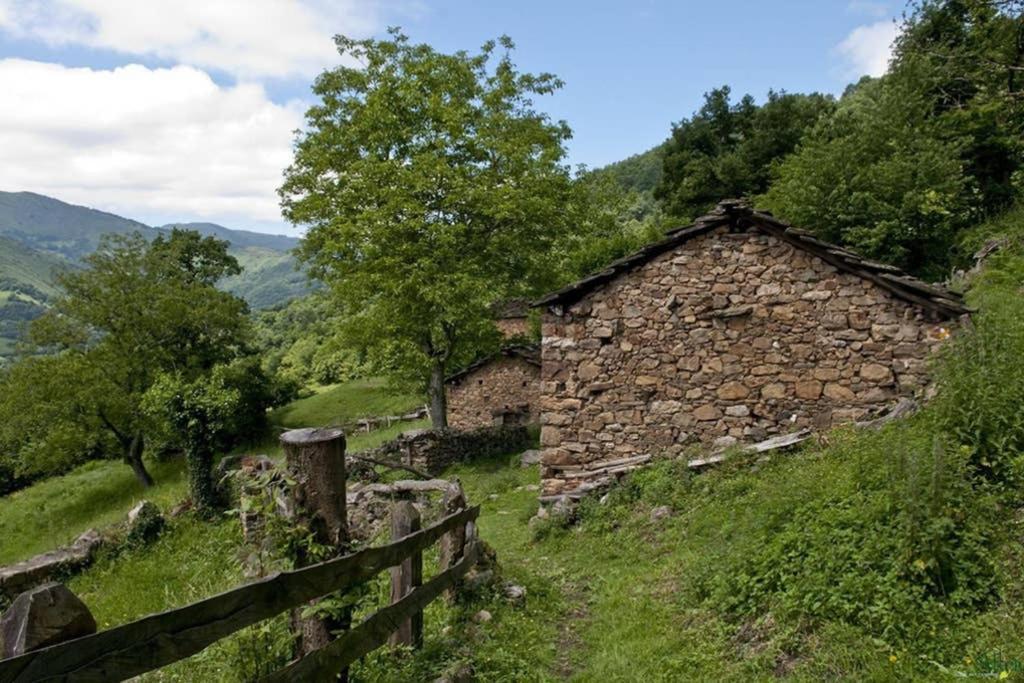 Los Molinos - Atico En Montana De Asturias 펠레초사 외부 사진