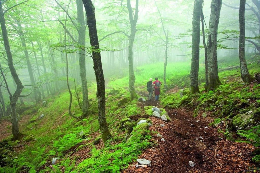 Los Molinos - Atico En Montana De Asturias 펠레초사 외부 사진