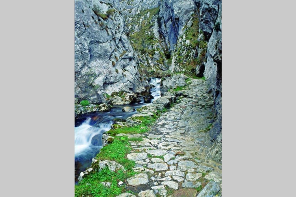 Los Molinos - Atico En Montana De Asturias 펠레초사 외부 사진