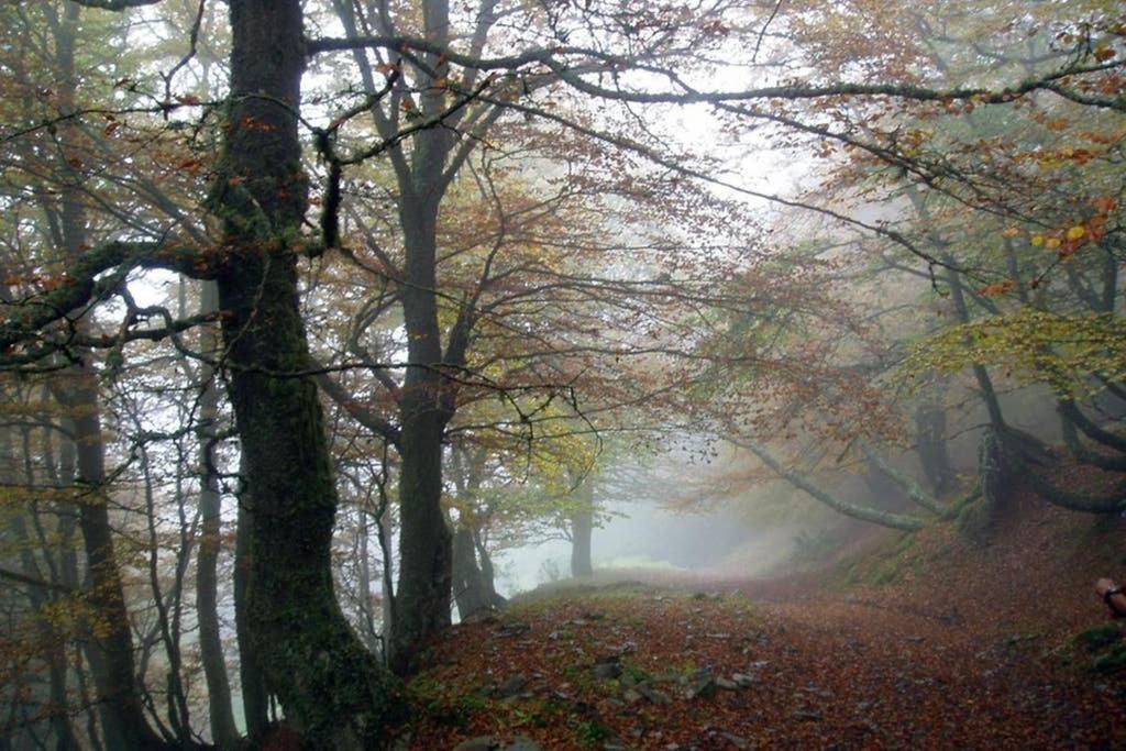 Los Molinos - Atico En Montana De Asturias 펠레초사 외부 사진
