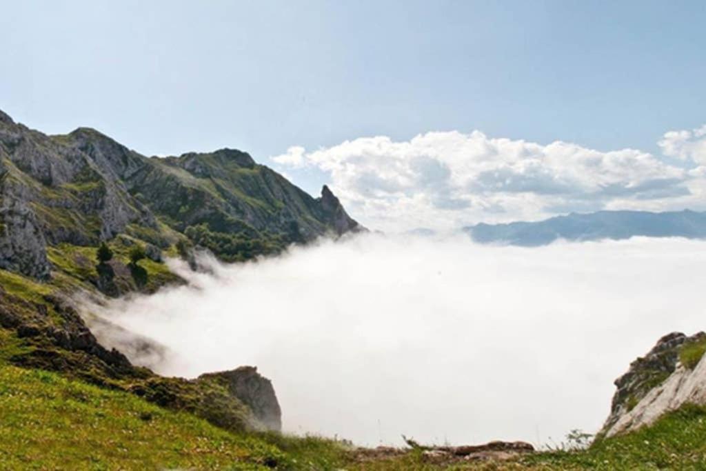 Los Molinos - Atico En Montana De Asturias 펠레초사 외부 사진